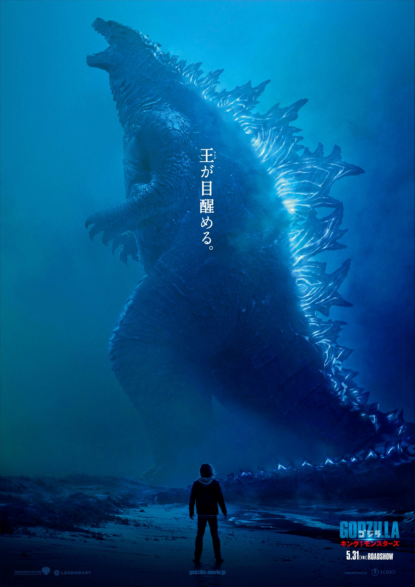 【日本版劇場用】ゴジラ キング・オブ・モンスターズ(2019) 日本国内版 劇場用ポスター 両面印刷【未使用】